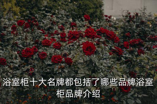 浴室柜十大名牌都包括了哪些品牌浴室柜品牌介紹