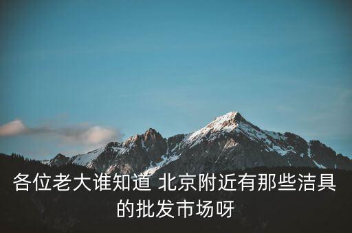 各位老大誰知道 北京附近有那些潔具的批發(fā)市場呀