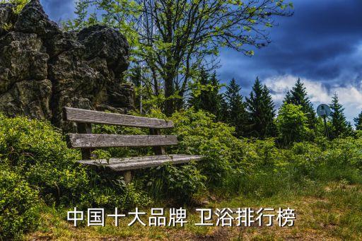 中國十大品牌 衛(wèi)浴排行榜
