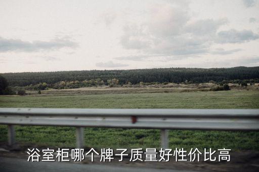 浴室柜哪個牌子質量好性價比高