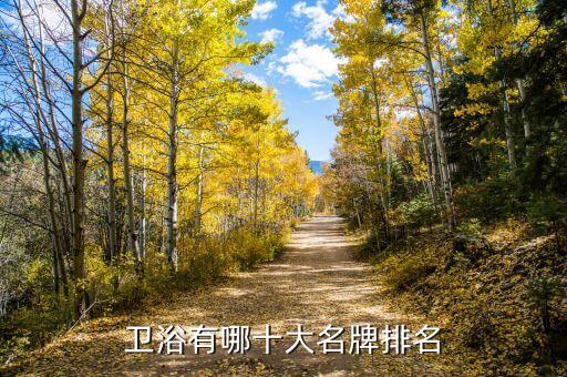 衛(wèi)浴有哪十大名牌排名