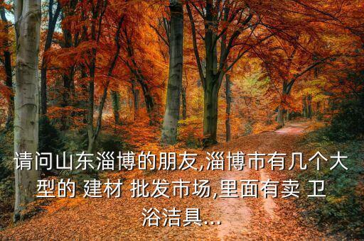 請(qǐng)問(wèn)山東淄博的朋友,淄博市有幾個(gè)大型的 建材 批發(fā)市場(chǎng),里面有賣 衛(wèi)浴潔具...