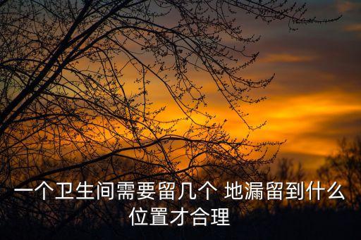 一個(gè)衛(wèi)生間需要留幾個(gè) 地漏留到什么位置才合理