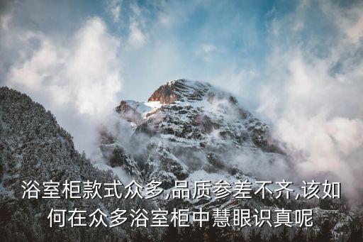 定制對(duì)開(kāi)門衛(wèi)浴柜尺寸圖片