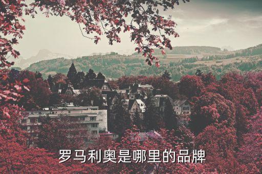 重慶羅馬衛(wèi)浴電話,重慶衛(wèi)浴維修電話