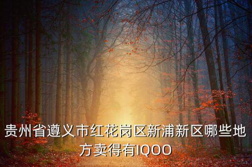 貴州省遵義市紅花崗區(qū)新浦新區(qū)哪些地方賣得有IQOO