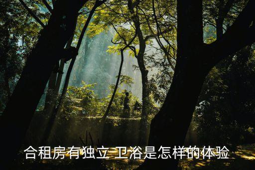 合租房有獨(dú)立 衛(wèi)浴是怎樣的體驗(yàn)