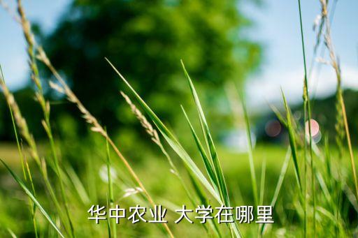  華中農(nóng)業(yè) 大學(xué)在哪里