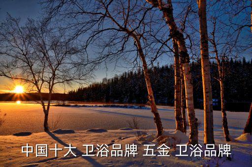 中國十大 衛(wèi)浴品牌 五金 衛(wèi)浴品牌