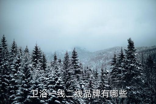  衛(wèi)浴一線二線品牌有哪些