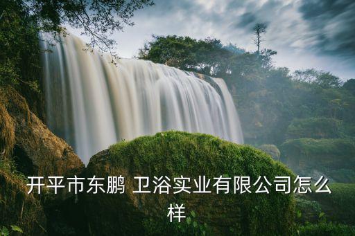  開(kāi)平市東鵬 衛(wèi)浴實(shí)業(yè)有限公司怎么樣