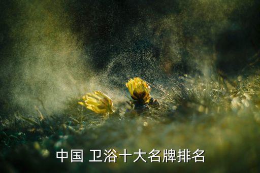 白沙衛(wèi)浴有哪些好品牌