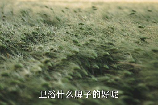 慕爾衛(wèi)浴推薦品牌是哪個