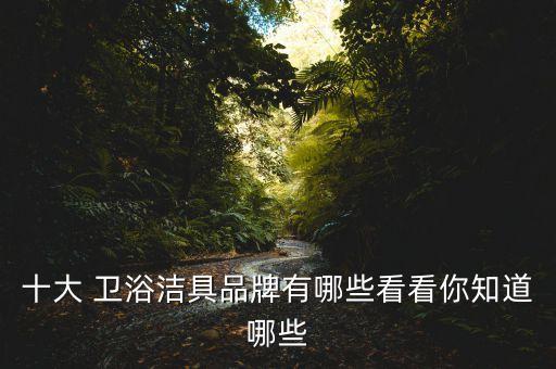 衛(wèi)浴十一人品牌,十一衛(wèi)浴活動主題方案