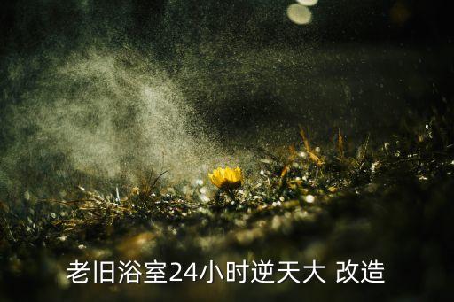 老舊浴室24小時逆天大 改造