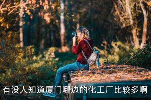 有沒人知道廈門哪邊的化工廠比較多啊