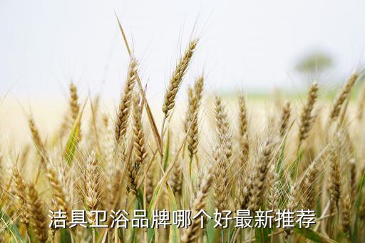 日本杉野衛(wèi)浴什么品牌好,帕伊衛(wèi)浴與日本有什么關(guān)系