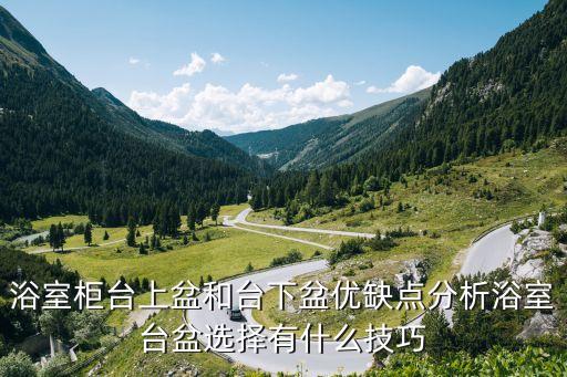衛(wèi)浴安裝的利弊有哪些圖片