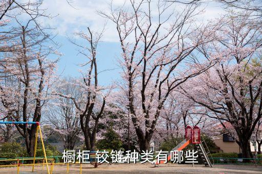 櫥柜 鉸鏈種類有哪些