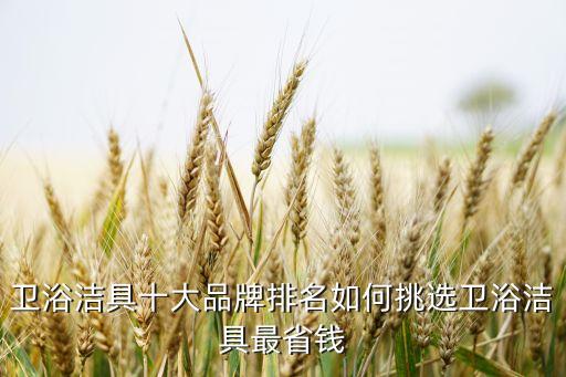 衛(wèi)浴潔具十大品牌排名如何挑選衛(wèi)浴潔具最省錢