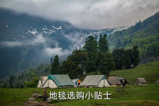  地毯選購小貼士