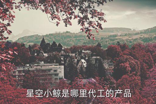  星空小鯨是哪里代工的產(chǎn)品