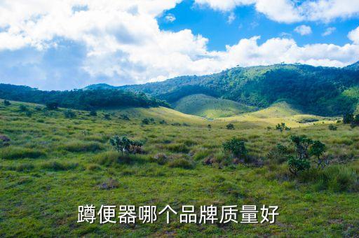 浴室柜品牌 日豐衛(wèi)浴,衛(wèi)浴浴室柜品牌排行榜前十名