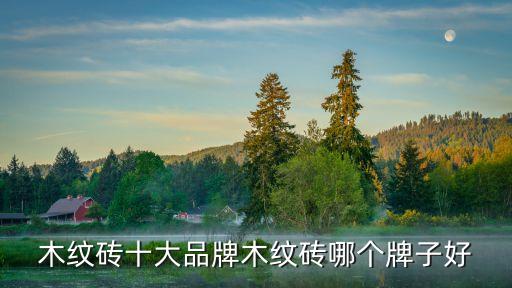 木紋磚十大品牌木紋磚哪個(gè)牌子好
