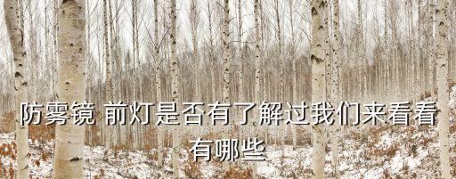防霧鏡 前燈是否有了解過(guò)我們來(lái)看看有哪些