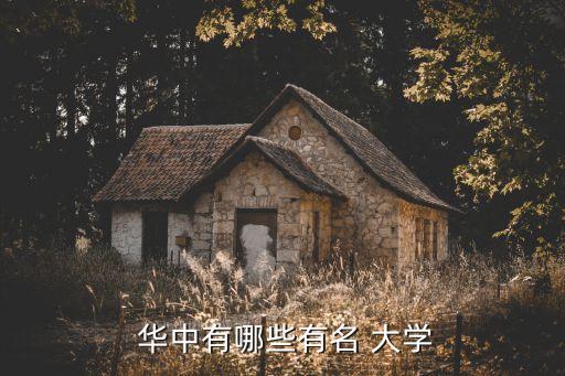  華中有哪些有名 大學(xué)