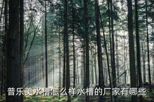 普樂美水槽怎么樣水槽的廠家有哪些