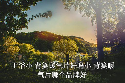  衛(wèi)浴小 背簍暖氣片好嗎小 背簍暖氣片哪個品牌好