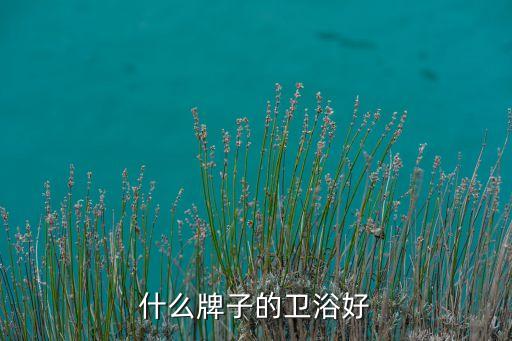 做衛(wèi)浴比較好的品牌有哪些,衛(wèi)生間一般什么品牌的衛(wèi)浴比較好