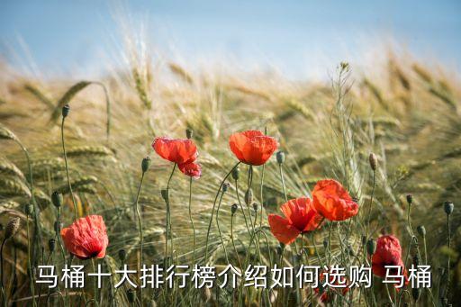  馬桶十大排行榜介紹如何選購 馬桶