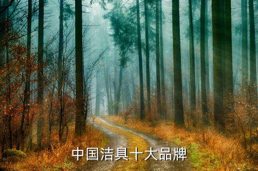 中國(guó)潔具十大品牌