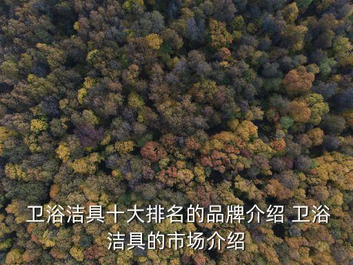  衛(wèi)浴潔具十大排名的品牌介紹 衛(wèi)浴潔具的市場介紹