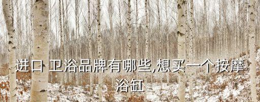 進(jìn)口 衛(wèi)浴品牌有哪些,想買一個(gè)按摩浴缸