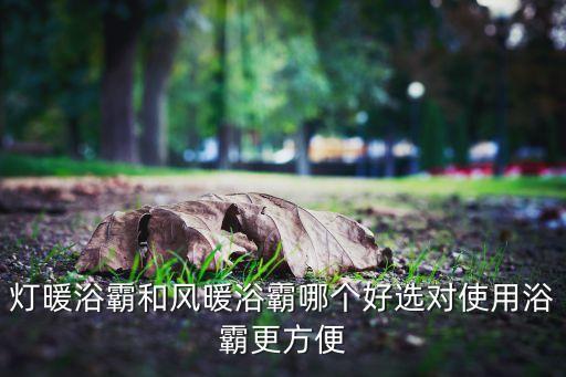 燈暖浴霸和風(fēng)暖浴霸哪個好選對使用浴霸更方便