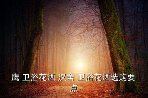 鷹 衛(wèi)浴花灑 漢舍 衛(wèi)浴花灑選購要點