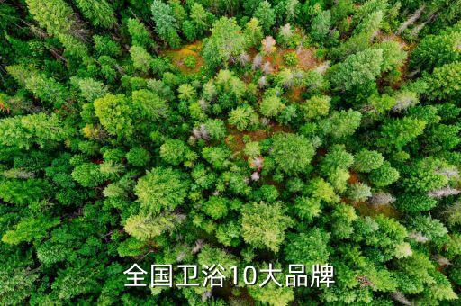 南寧的潔具衛(wèi)浴品牌,中國潔具衛(wèi)浴10大品牌排行榜