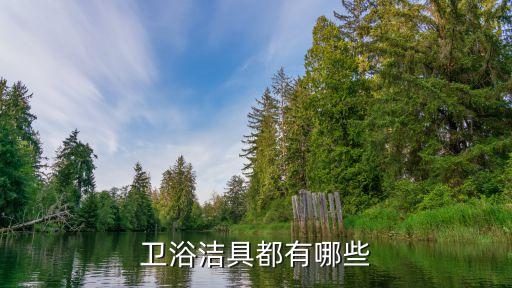 衛(wèi)浴潔具都有哪些