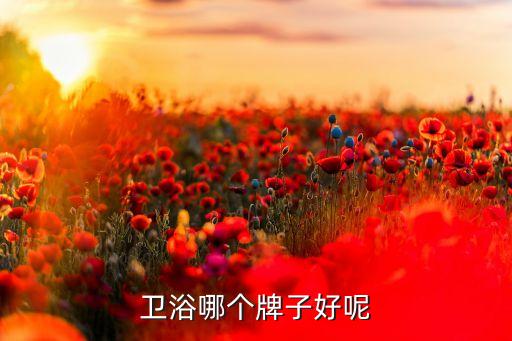 衛(wèi)浴哪個(gè)牌子好呢