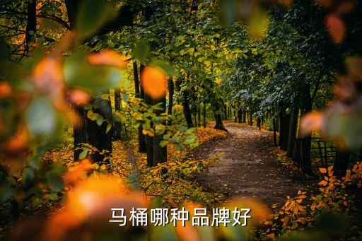 平輿華安衛(wèi)浴地址在哪