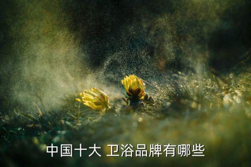 萬(wàn)峰衛(wèi)浴廠家地址