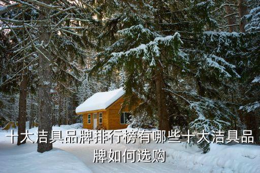 龍巖衛(wèi)浴品牌怎么選