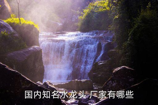 國內(nèi)知名水龍頭 廠家有哪些