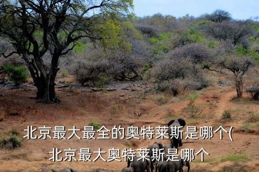  北京最大最全的奧特萊斯是哪個( 北京最大奧特萊斯是哪個