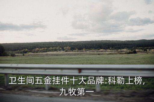 衛(wèi)生間五金掛件十大品牌:科勒上榜,九牧第一