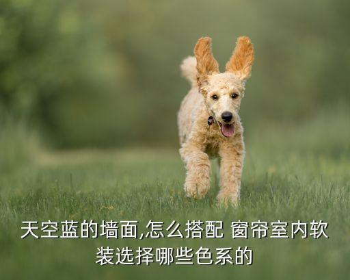 天空藍(lán)的墻面,怎么搭配 窗簾室內(nèi)軟裝選擇哪些色系的