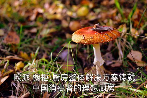  歐派 櫥柜:廚房整體解決方案鑄就中國消費者的理想廚房